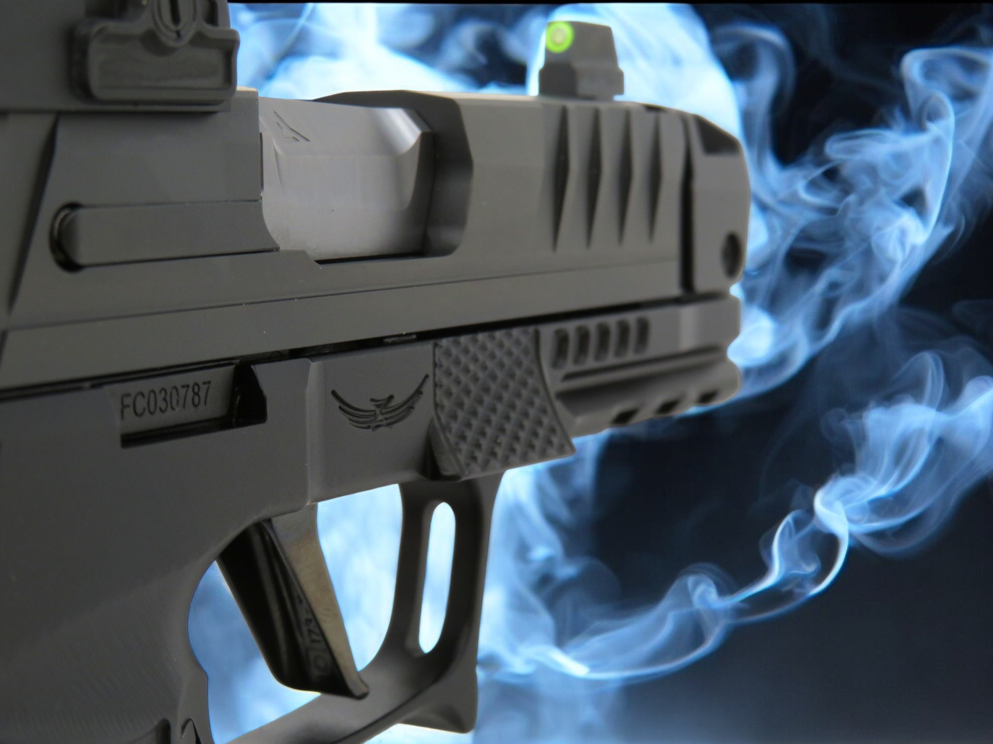 SK Sig P365/X Custom Works with Radian RamJet (GRAY), Norsso Spec Ops Slide, Icarus Frame and More - Image 14