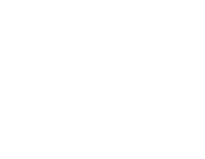 Beretta