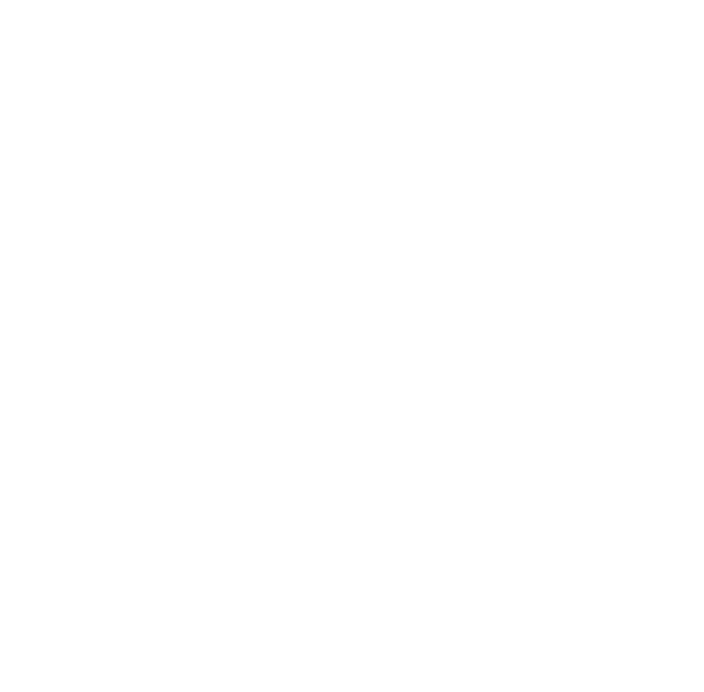 Nighthawk Customs