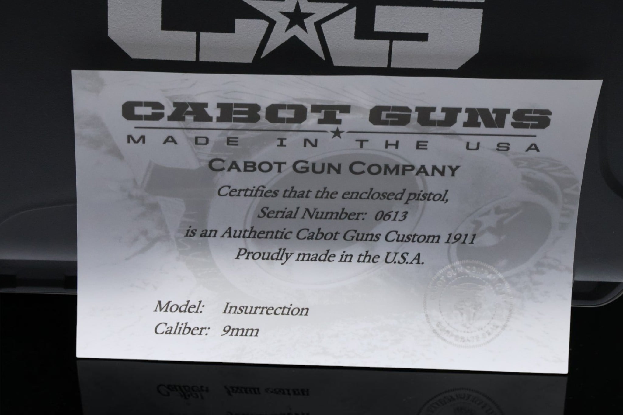 Cabot Guns Insurrection 2011 Loaded Optic Ready 5" Satin Stainless with Porting 9mm - Image 19