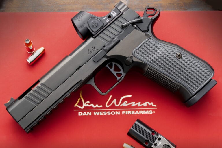 Dan Wesson DWX